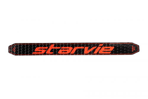 Starvie Protector