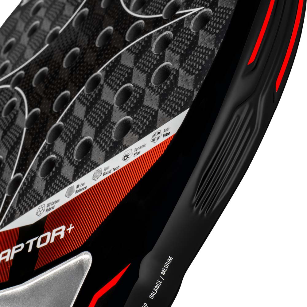 Starvie Raptor 2026