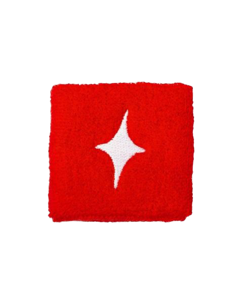 Starvie Wristband